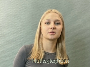 Hollisgleghorn