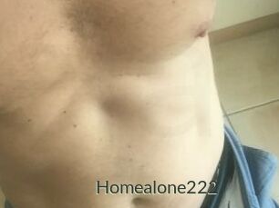 Homealone222