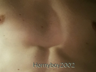 Hornyboy2002