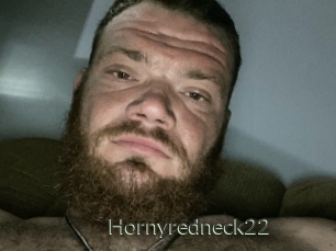 Hornyredneck22