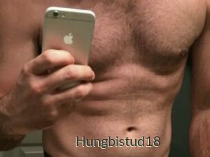 Hungbistud18