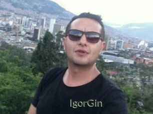 IgorGin