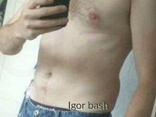Igor_bash