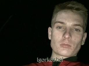 Igorkoshel