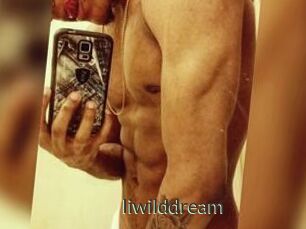 Iiwilddream