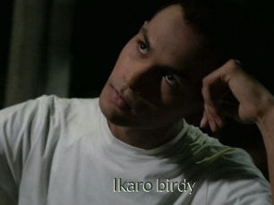 Ikaro_birdy