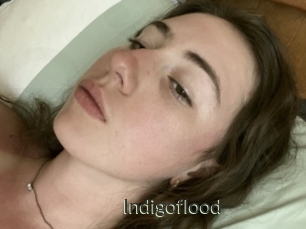 Indigoflood