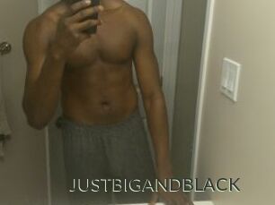 JUSTBIGANDBLACK