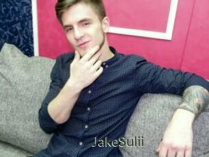 JakeSulii
