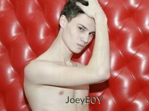 JoeyB0Y