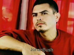 JohanBush