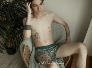 Jaybreeze