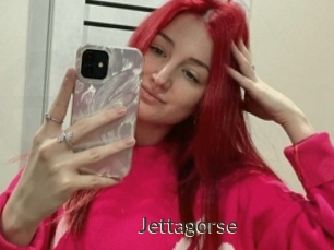 Jettagorse