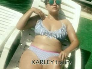 KARLEY_tranny