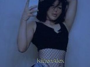 KittenAlex