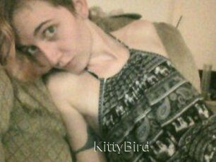 KittyBird