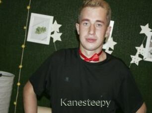 Kanesteepy