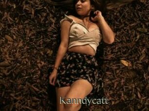Kanndycatt