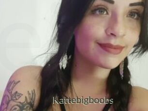 Kattebigboobs
