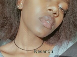 Kesandu