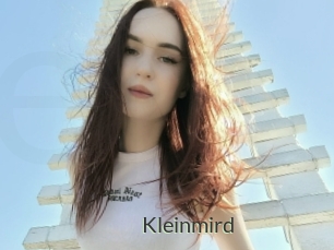 Kleinmird