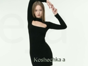 Koshechka_a
