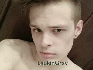 LapkinGray