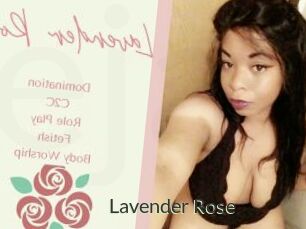 Lavender_Rose