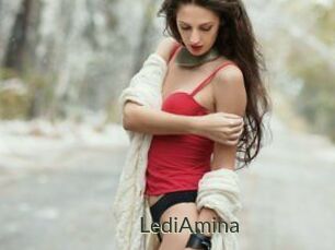 LediAmina