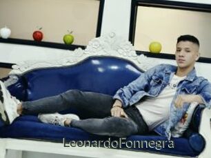 LeonardoFonnegra
