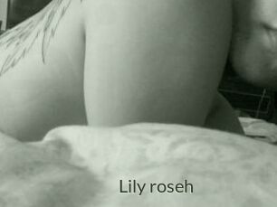 Lily_roseh