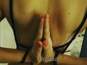 Littlesub