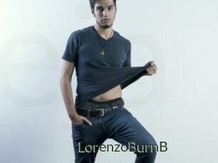 LorenzoBurnB