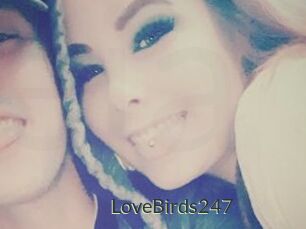 LoveBirds247