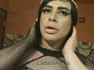 Ladanivenus