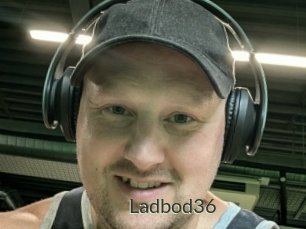 ladbod36 Ejaculator