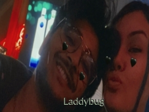 Laddybug
