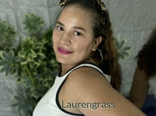 Laurengrass