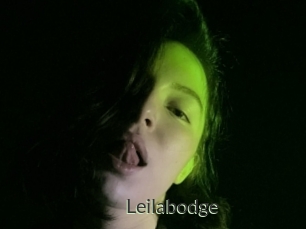 Leilabodge