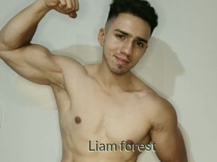 Liam_forest