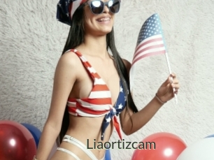 Liaortizcam