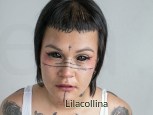 Lilacollina