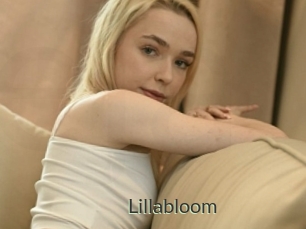 Lillabloom