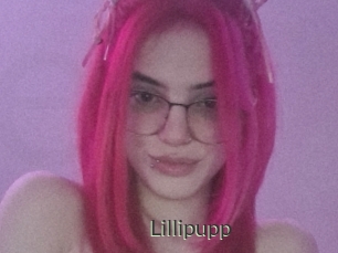 Lillipupp