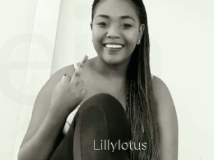 Lillylotus