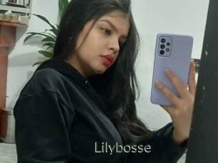 Lilybosse