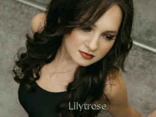 Lilytrose