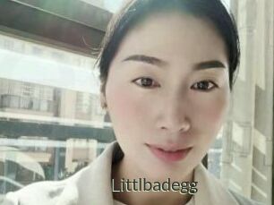 Littlbadegg