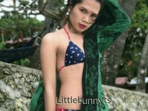 Littlebunnyts