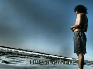 Littlecurly_marley